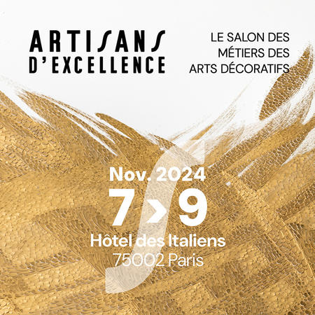 Artisansdexcellence reseaux leger